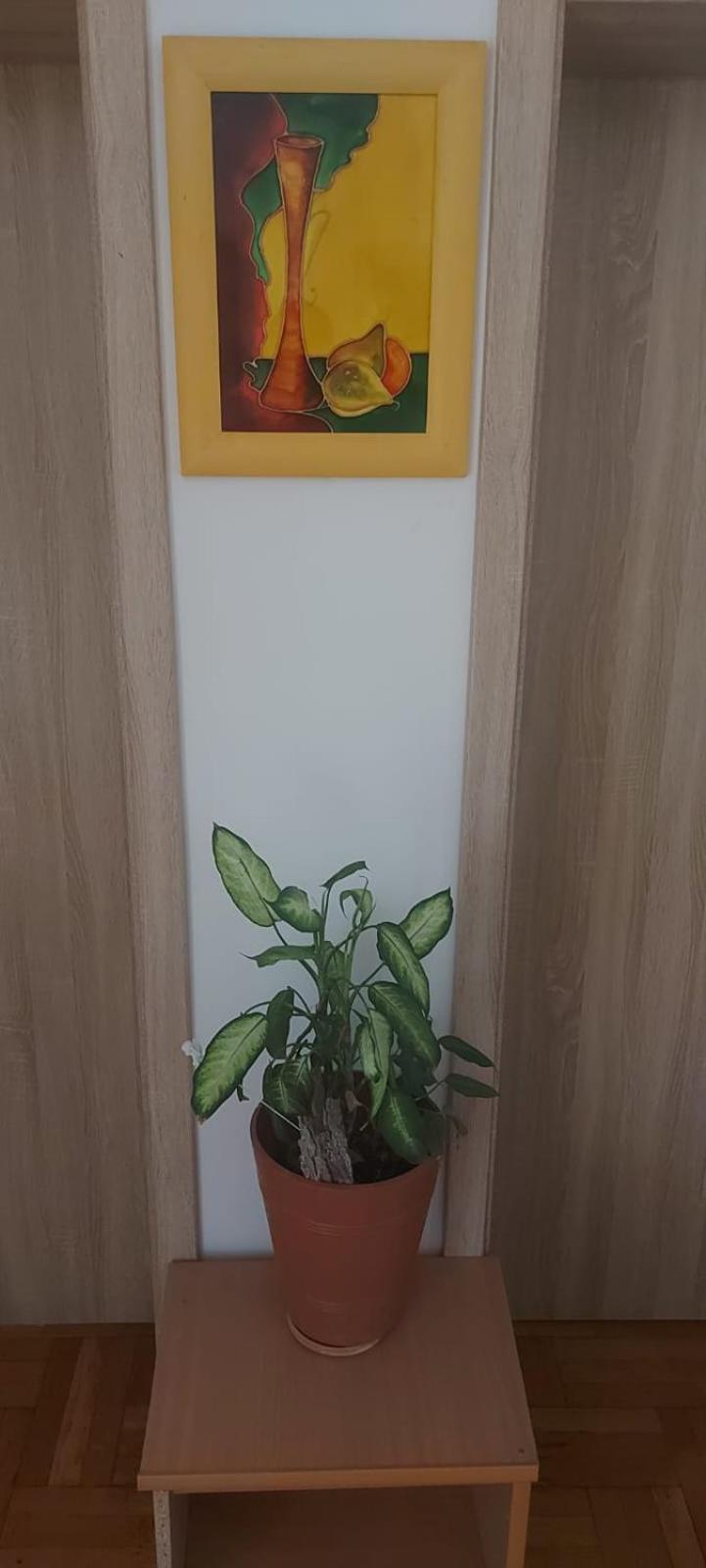 Hostel ポズナン エクステリア 写真